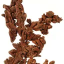 Copper - image 2