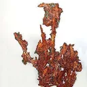 Copper - image 1