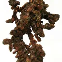 Copper - image 1