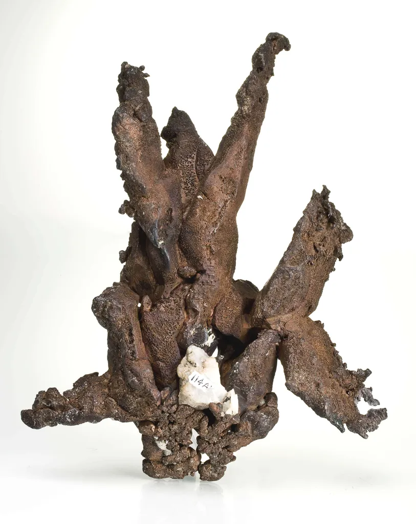 Copper - image 3