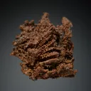 Copper - image 7