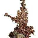 Copper - image 1