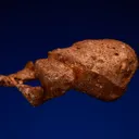 Copper - image 3