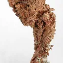 Copper - image 1
