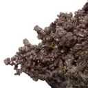 Copper - image 6