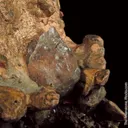 Copper and Calcite with Copper - image 4