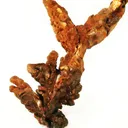 Copper - image 3