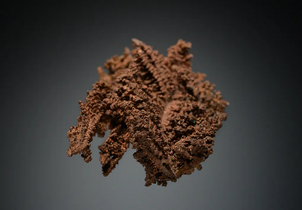Copper - image 6