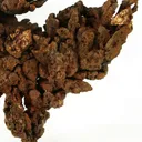 Copper - image 3