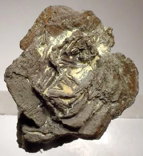 Copper image