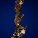 Copper - image 5