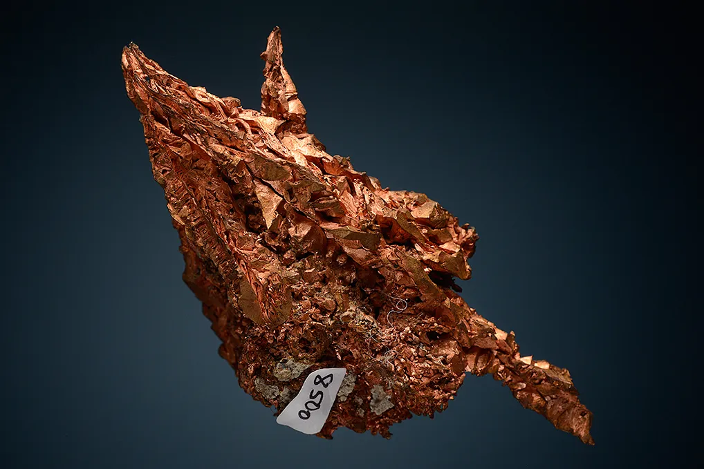 Copper - image 3
