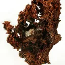 Copper - image 1