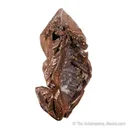 Copper - image 6