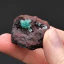 Copper-bearing Adamite - image 2