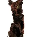 Copper (Butte!) - image 2