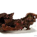 Copper (Butte!) - image 1