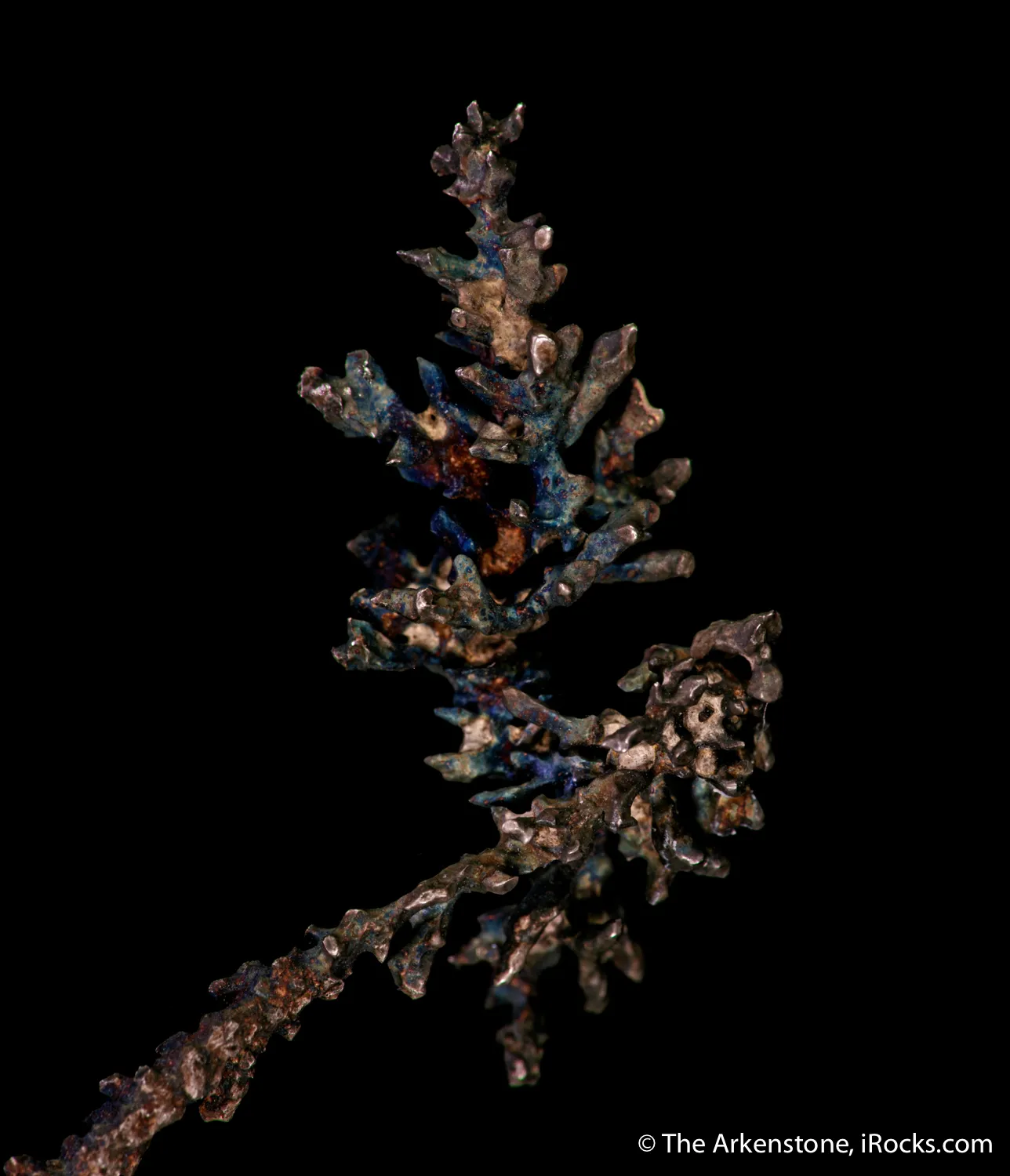 Copper - image 4