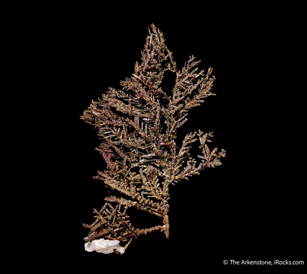 Copper - image 3