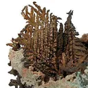 Copper - image 2