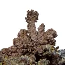 Copper - image 1