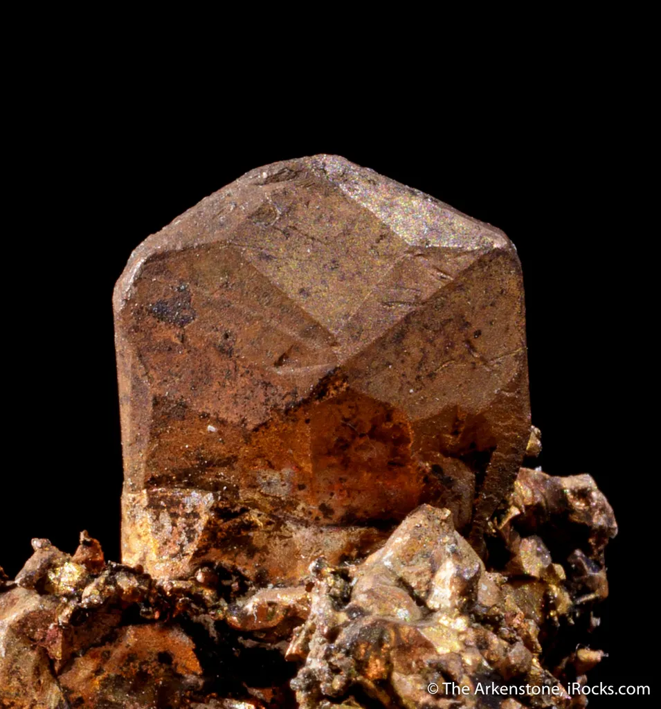 Copper - image 6