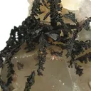 Copper, Calcite - image 2