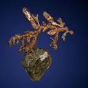Copper - image 4