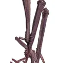 Copper - image 4