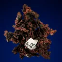 Copper - image 3