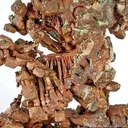 Copper - image 4