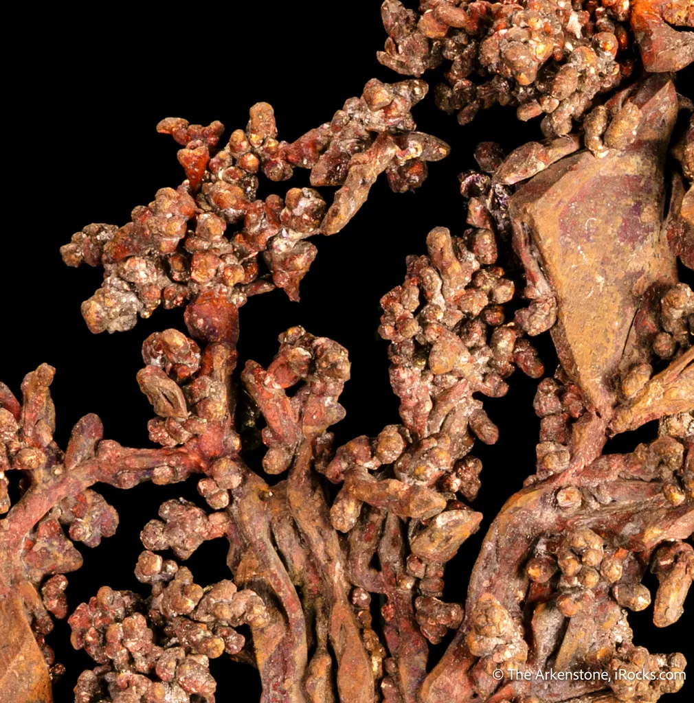Copper - image 5