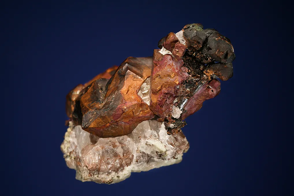 Copper - image 3