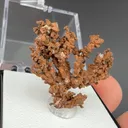 Copper - image 1
