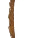 Copper "Chisel Sliver" From 1860 - image 1