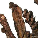 Copper Crystals - image 2