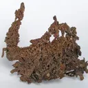 Copper, Cuprite - image 2