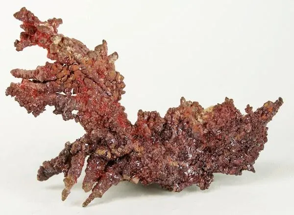 Copper, Cuprite, Cuprite (Var: Chalcotrichite) image