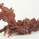Copper, Cuprite, Cuprite (Var: Chalcotrichite) - image 1