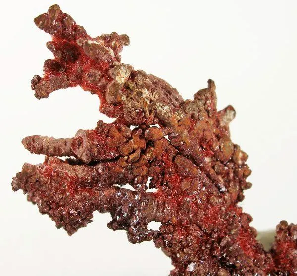 Copper, Cuprite, Cuprite (Var: Chalcotrichite) - image 2