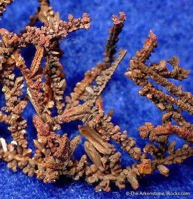 Copper - image 3