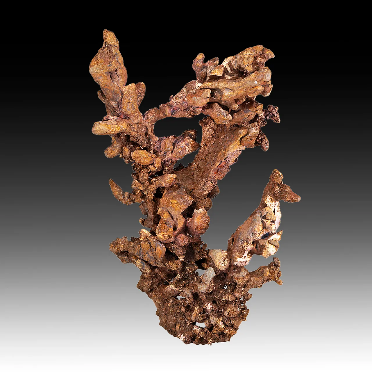 Copper - image 1