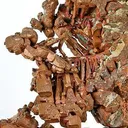 Copper - image 5