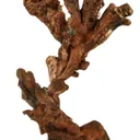 Copper - image 3