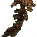 Copper - image 3