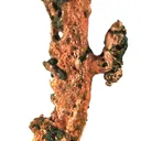 Copper - image 2