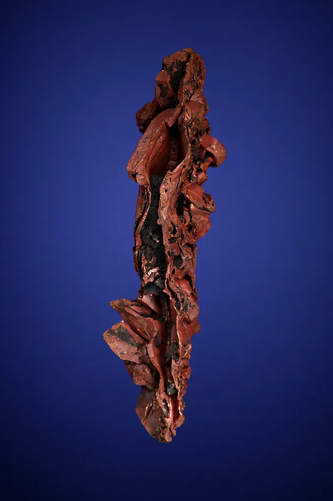 Copper - image 4