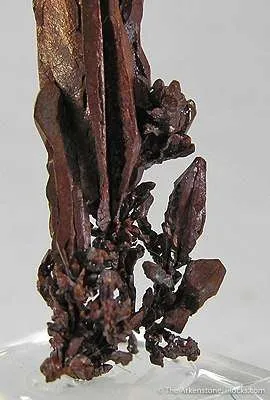 Copper - image 4