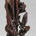 Copper - image 4