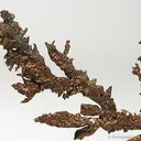 Copper - image 2